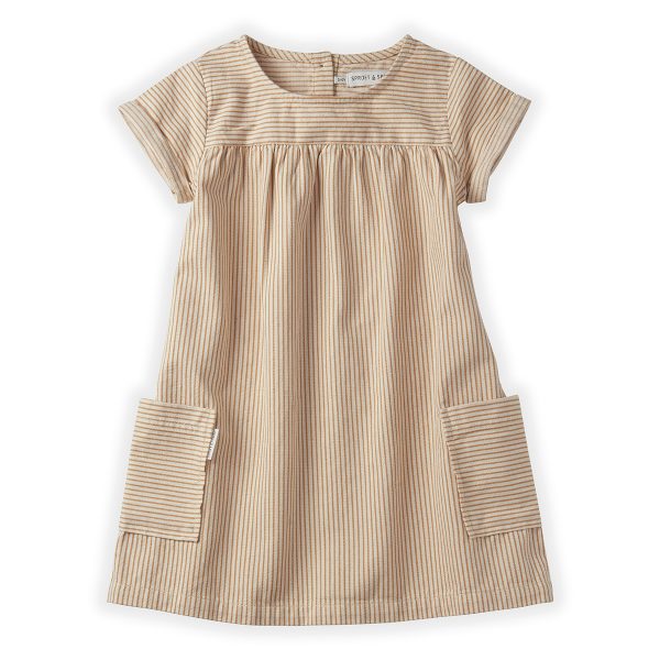 SPROET & SPROUT dress pinstripe
